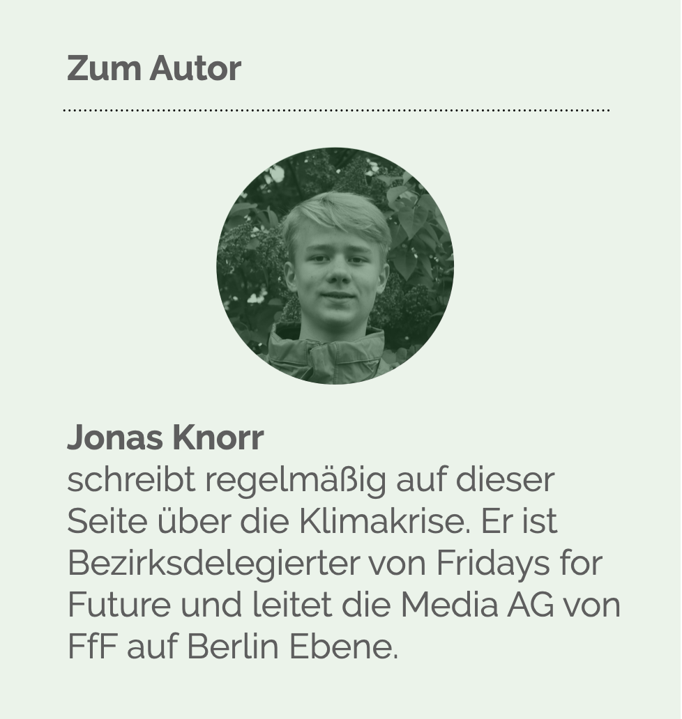 Gastautor Jonas Knorr