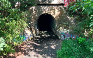 Wuhle Tunnel