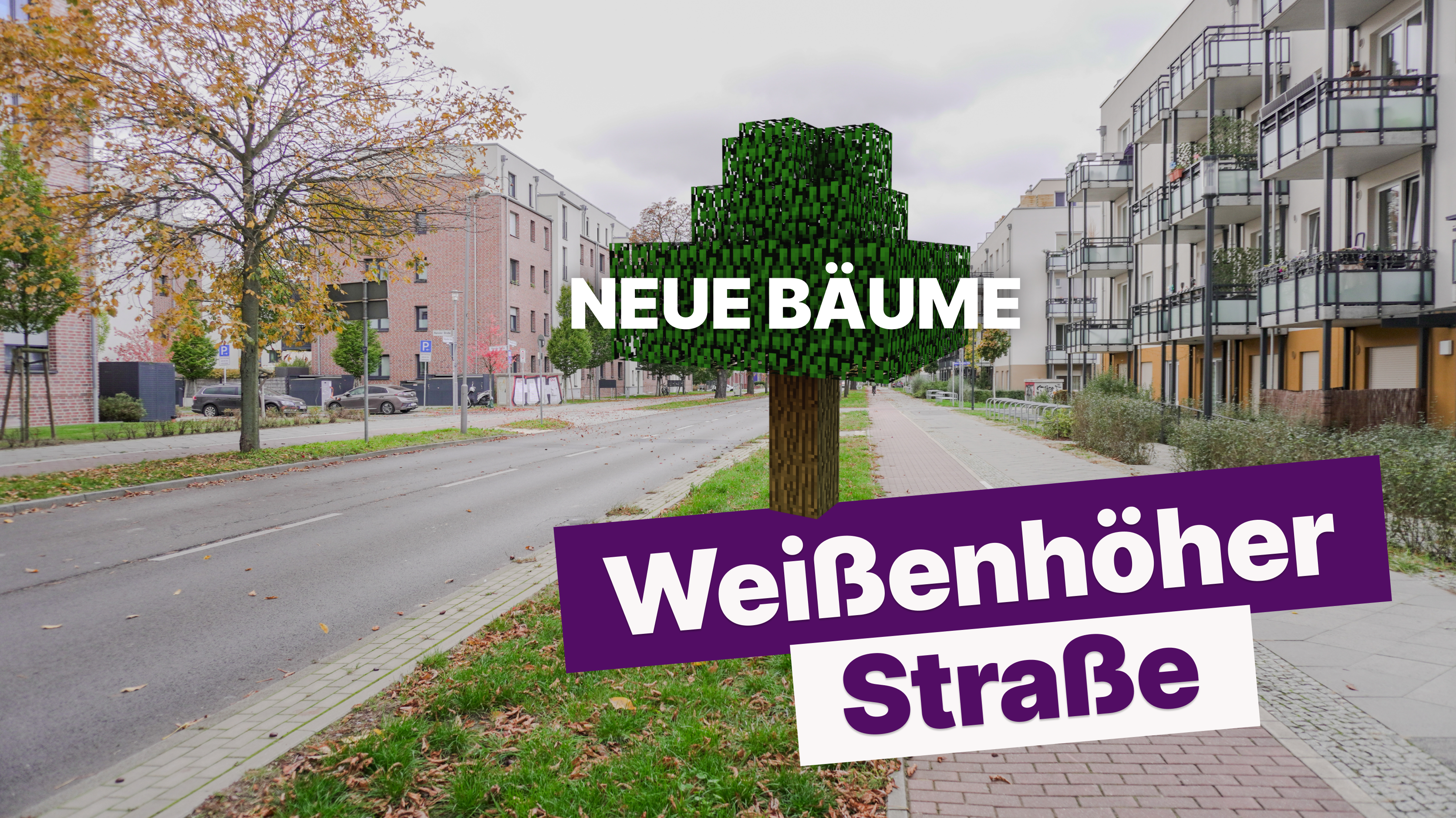 Bäume in der Weißenhöher Straße